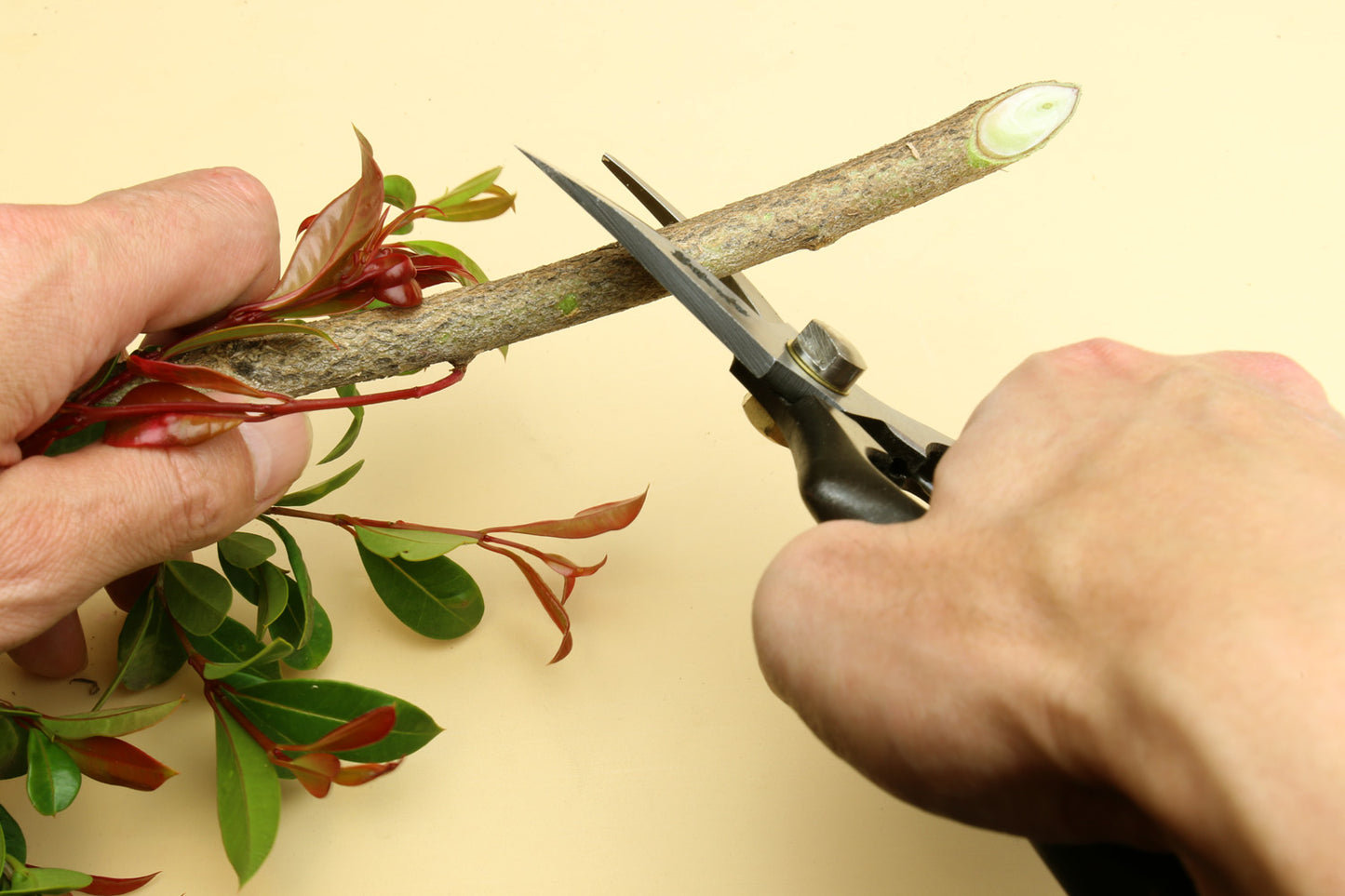 Professional Pruning Shears for Gardening, Garden Clippers, Hedge Shears, Plant Trimming Garden Tools